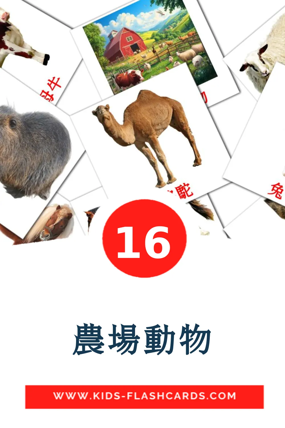 16 農場動物 fotokaarten voor kleuters in het chinees(traditioneel)