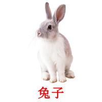 兔子 карточки энциклопедических знаний