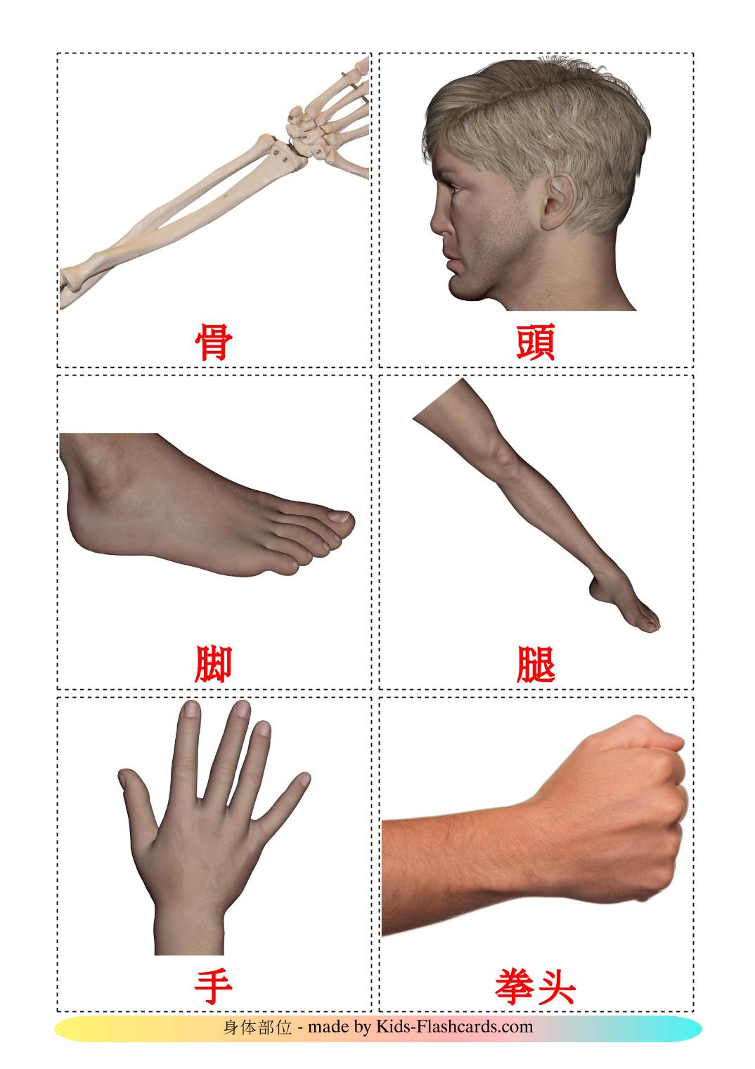 Body Parts - 26 Free Printable chinese(Traditional) Flashcards 