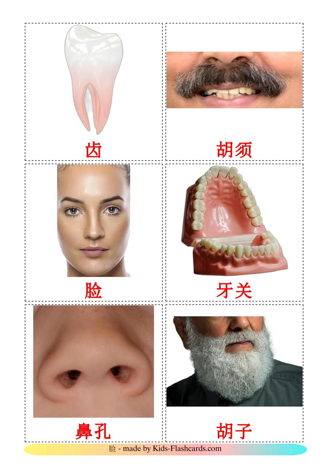 Face - 20 Free Printable chinese(Traditional) Flashcards 