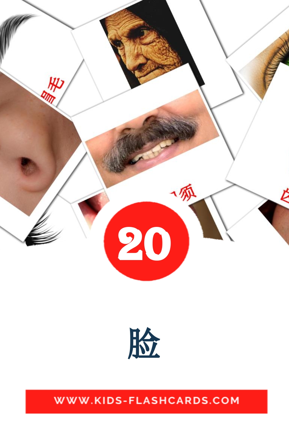 20 tarjetas didacticas de 脸 para el jardín de infancia en chino(tradicional)