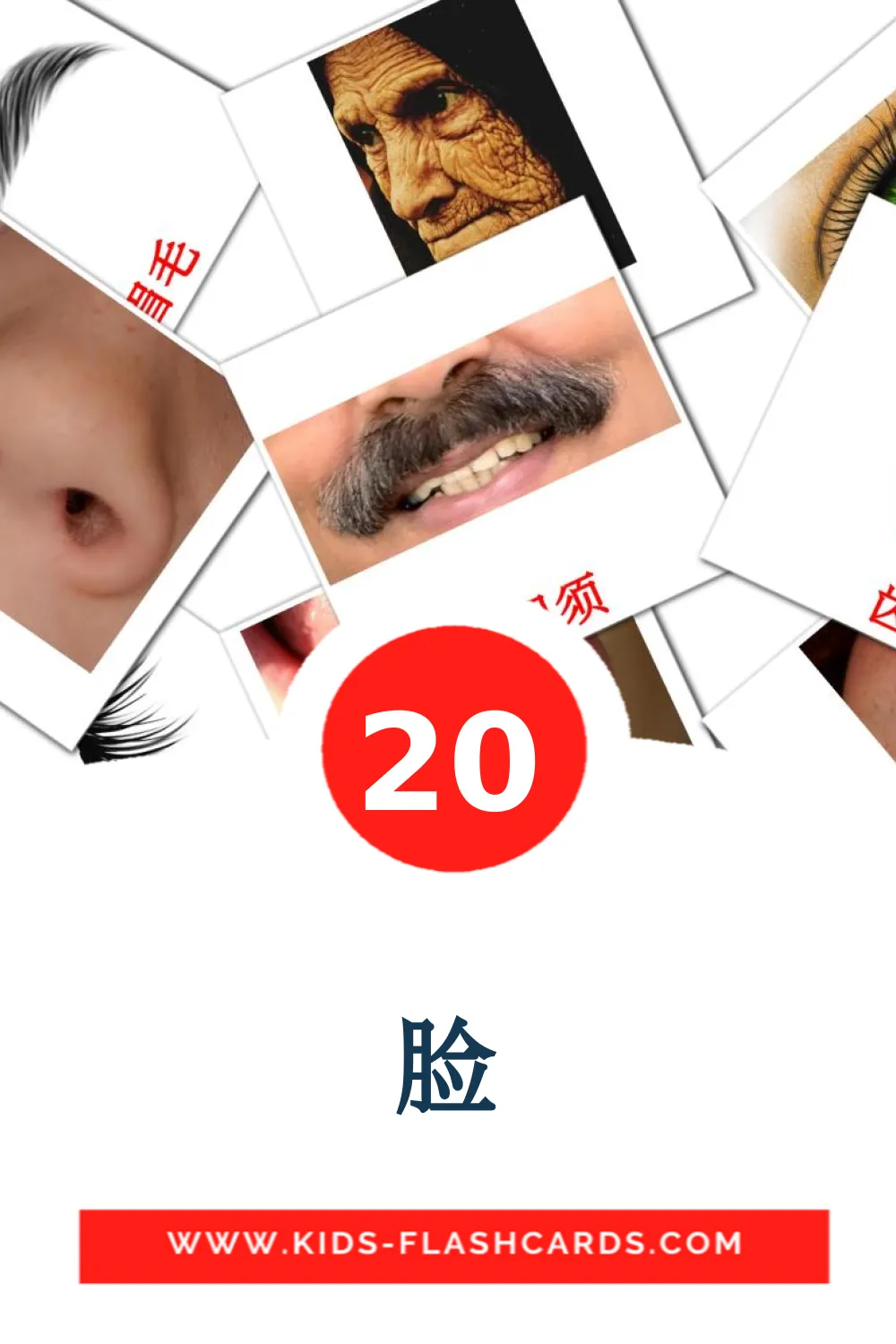 20 脸 Picture Cards for Kindergarden in chinese(Traditional)