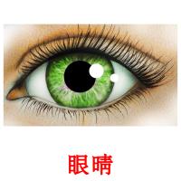 眼睛 card for translate