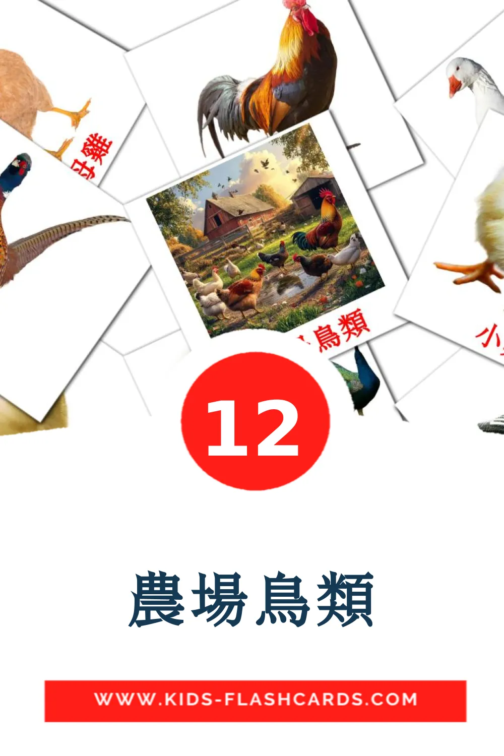 12 農場鳥類 Picture Cards for Kindergarden in chinese(Traditional)