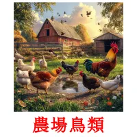 農場鳥類 picture flashcards