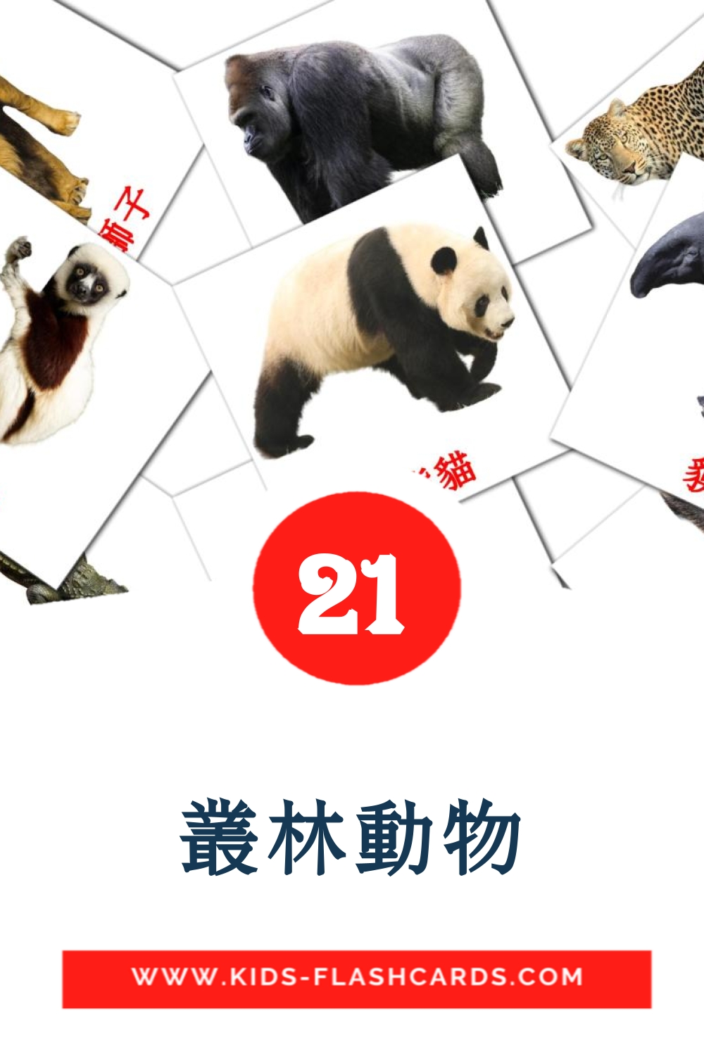 21 carte illustrate di 叢林動物 per la scuola materna in cinese(tradizionale)