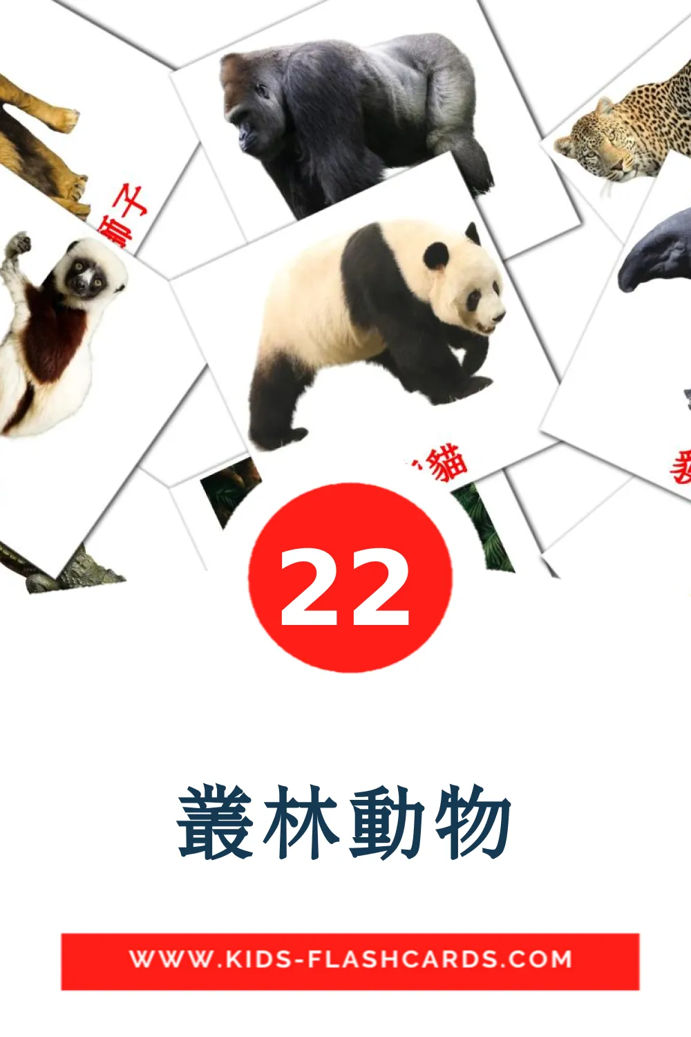 22 carte illustrate di 叢林動物 per la scuola materna in cinese(tradizionale)