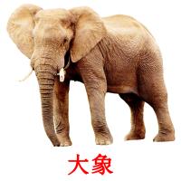 大象 card for translate