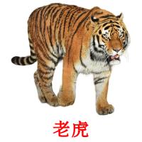 老虎 card for translate
