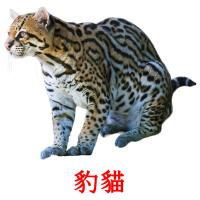 豹貓 карточки энциклопедических знаний