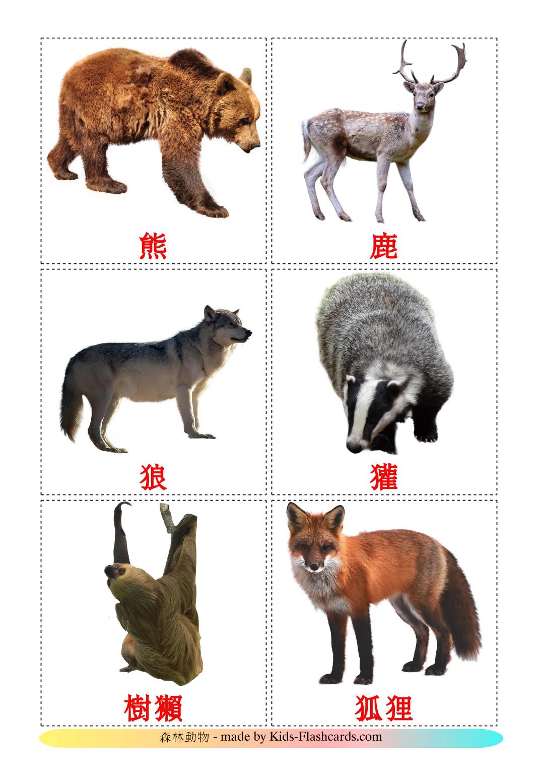 Forest animals - 23 Free Printable chinese(Traditional) Flashcards 