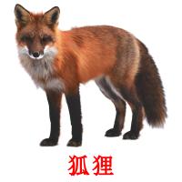 狐狸 picture flashcards