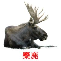 麋鹿 card for translate