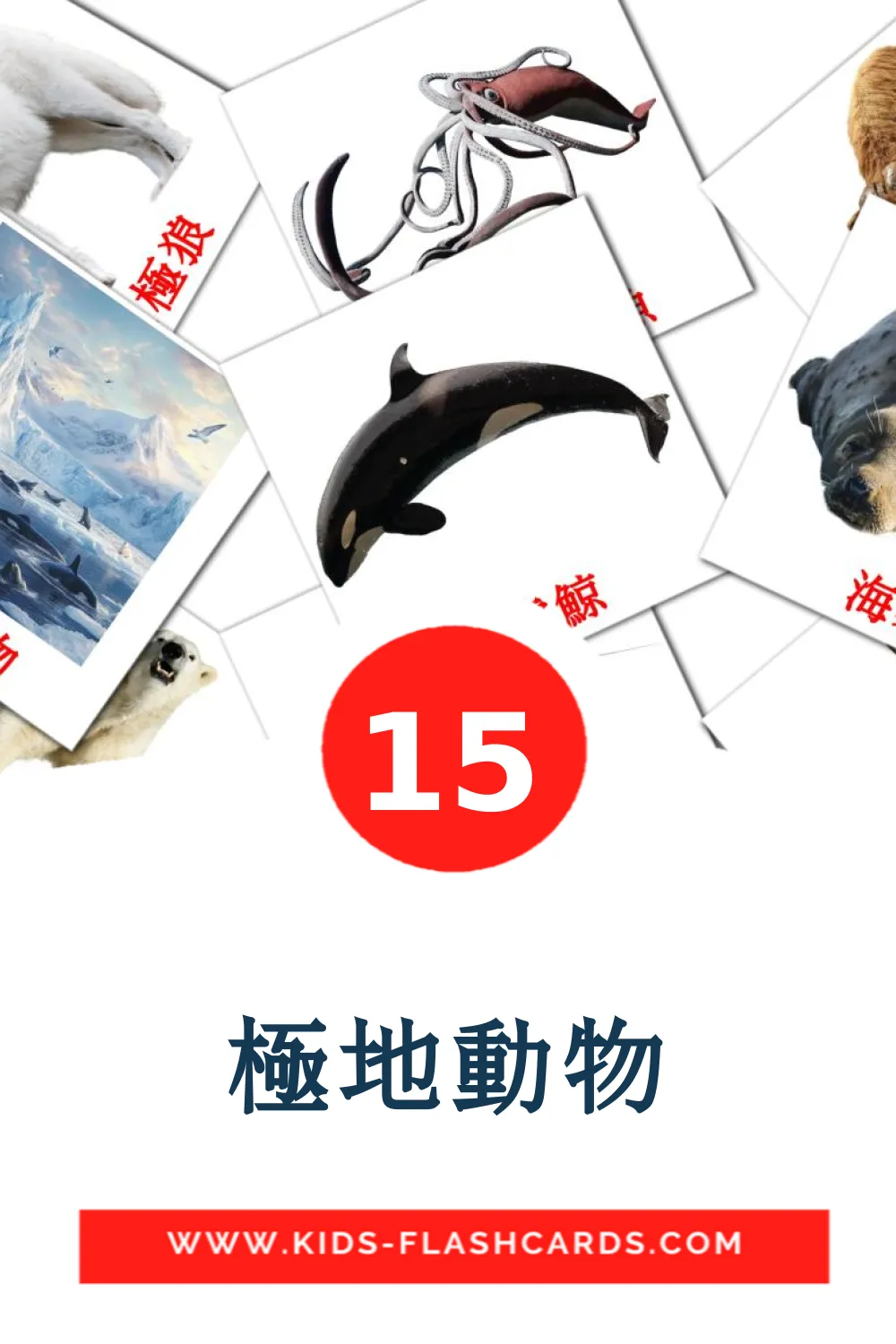 15 carte illustrate di 極地動物 per la scuola materna in cinese(tradizionale)