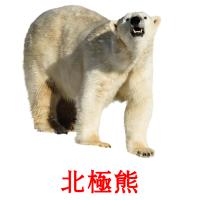 北極熊 flashcards illustrate