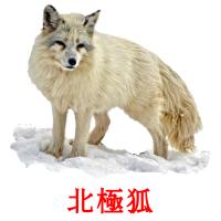 北極狐 card for translate