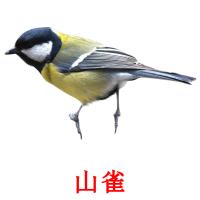 山雀 card for translate