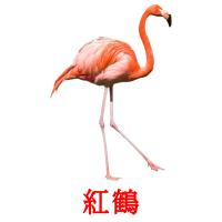紅鶴 card for translate