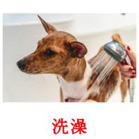 洗澡 card for translate