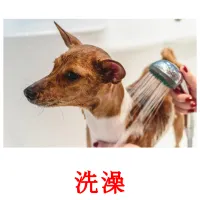 洗澡 picture flashcards