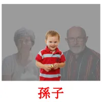 孫子 picture flashcards