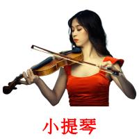 小提琴 card for translate