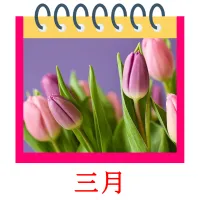 三月 bildekort