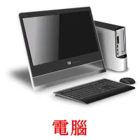 電腦 bildekort