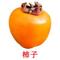 柿子 card for translate