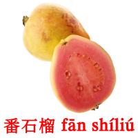 番石榴 fān shíliú flashcards illustrate
