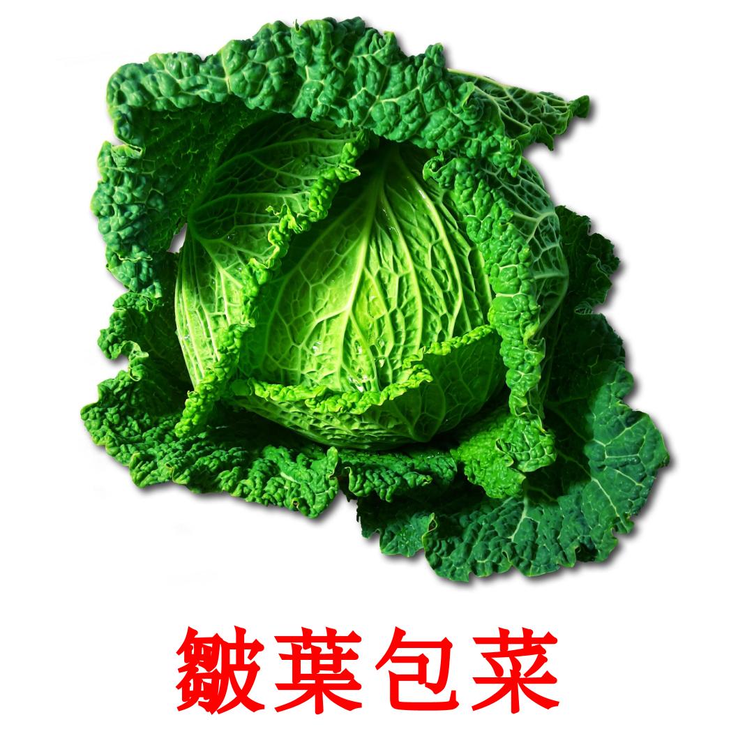 29 Free Vegetables Flashcards In Chinese Traditional Pdf Files