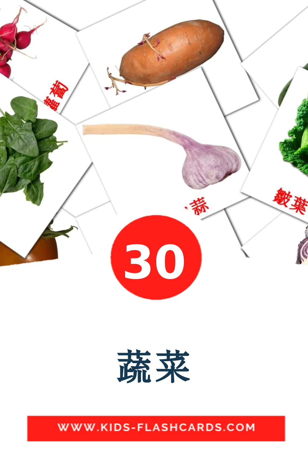 30 carte illustrate di 蔬菜 per la scuola materna in cinese(tradizionale)