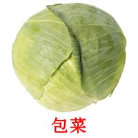 包菜 card for translate