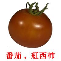 番茄 ,  紅西柿 Tarjetas didacticas