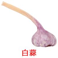 白蒜 card for translate