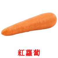 紅蘿蔔 card for translate