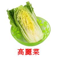 高麗菜 card for translate