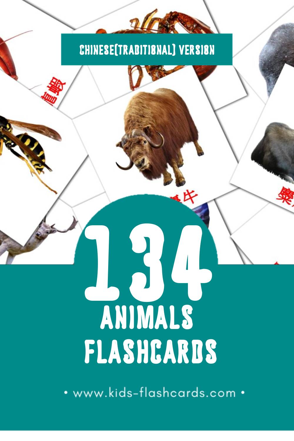 Visual 叢林動物 Flashcards for Toddlers (134 cards in Chinese(Traditional))