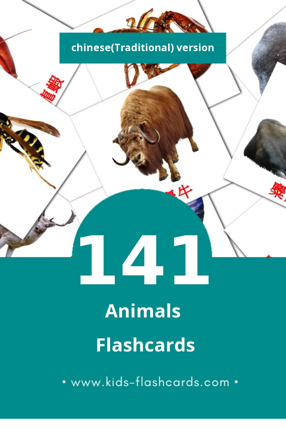 Visual 叢林動物 Flashcards for Toddlers (141 cards in Chinese(Traditional))