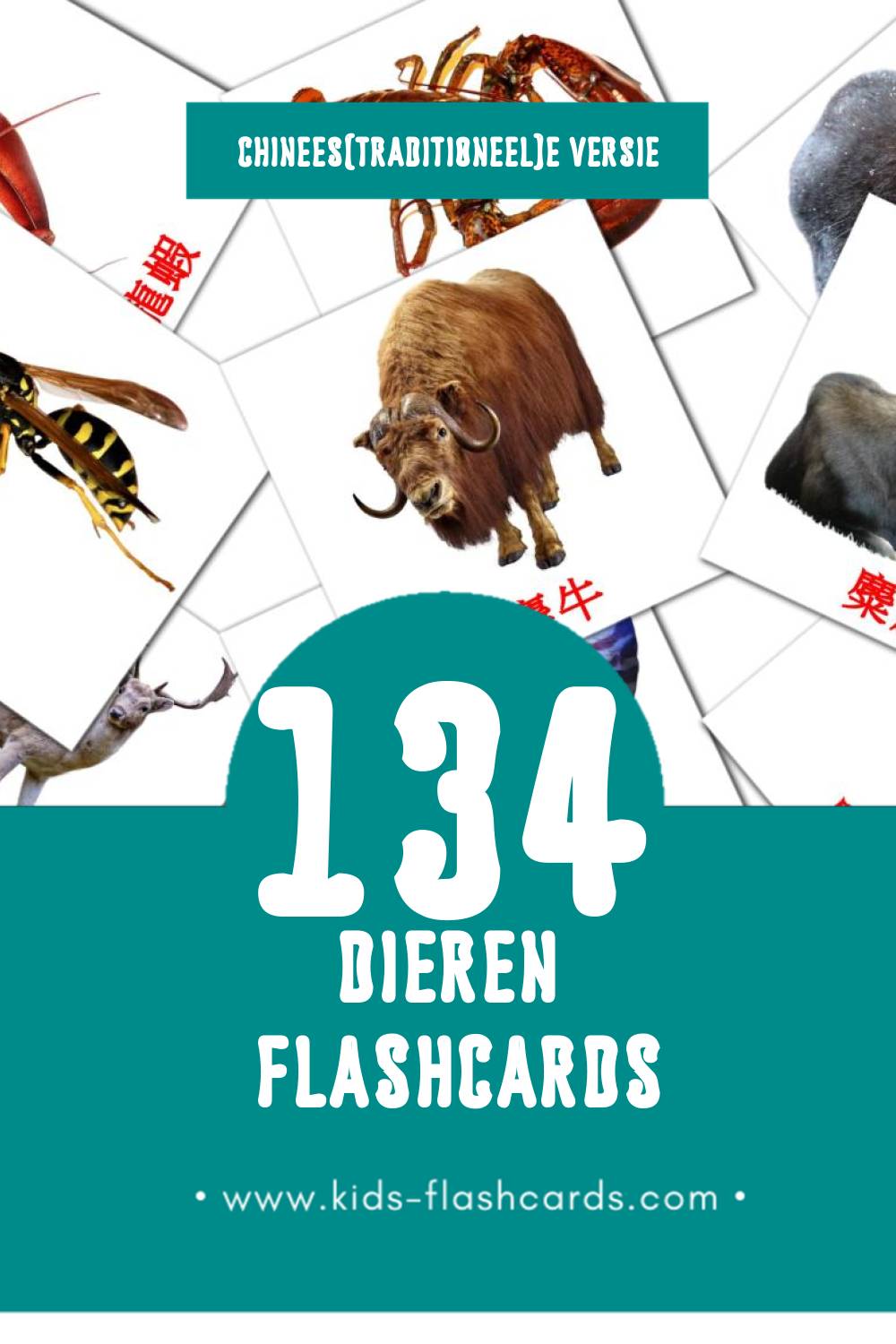 Visuele 叢林動物 Flashcards voor Kleuters (134 kaarten in het Chinees(traditioneel))