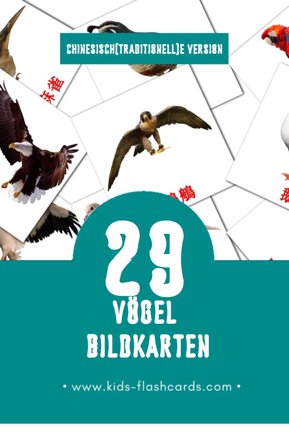 Visual 鳥兒 Flashcards für Kleinkinder (29 Karten in Chinesisch(Traditionell))