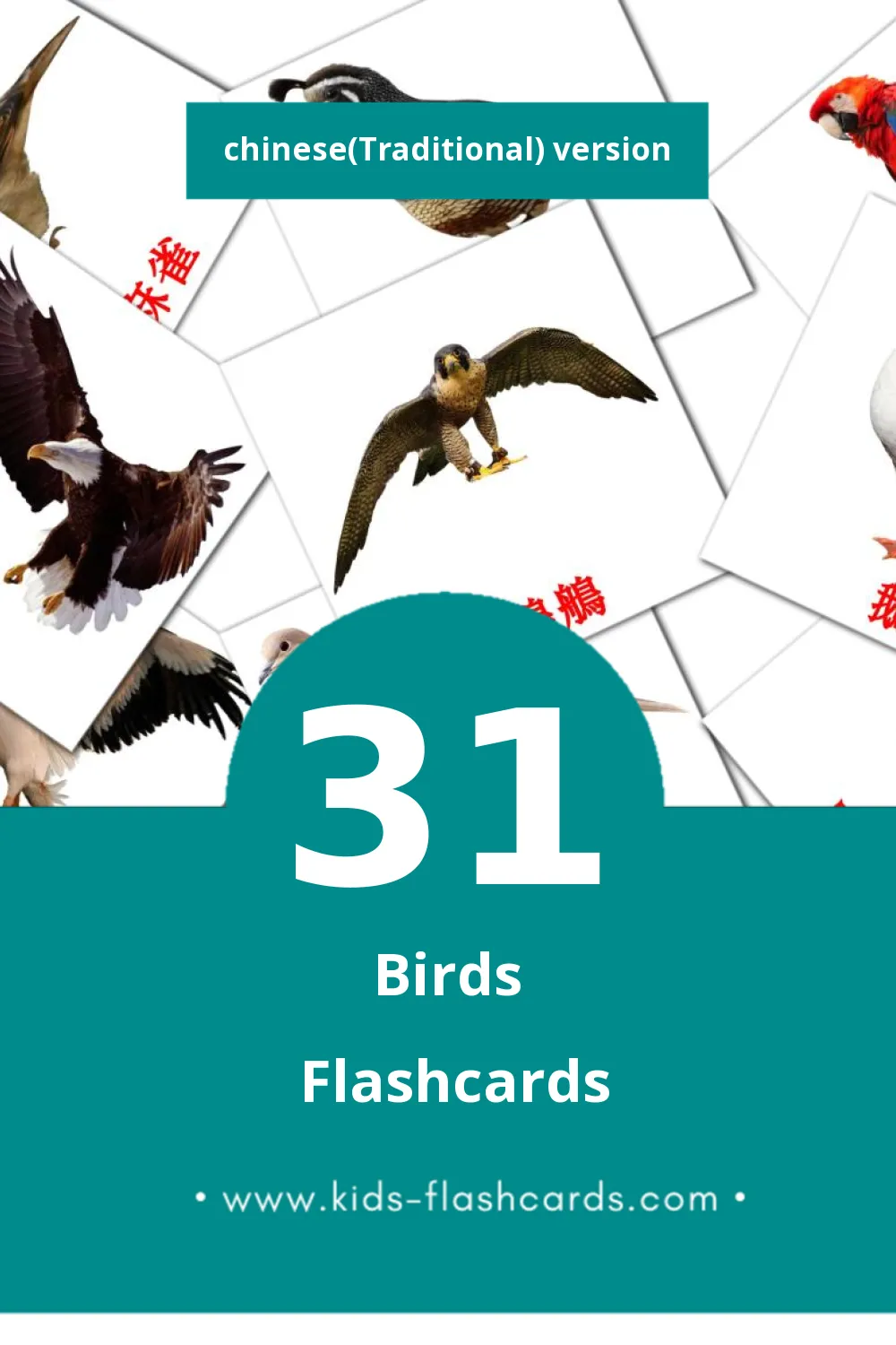 Visual 鳥兒 Flashcards for Toddlers (31 cards in Chinese(Traditional))