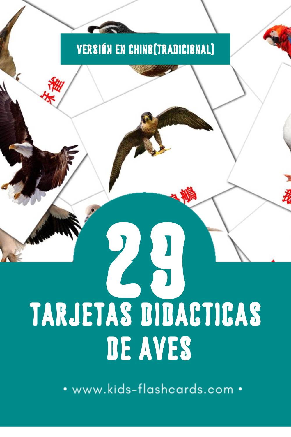 Tarjetas visuales de 鳥兒 para niños pequeños (29 tarjetas en Chino(tradicional))