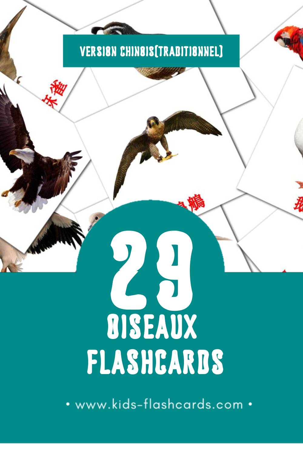 Flashcards Visual 鳥兒 pour les tout-petits (17 cartes en Chinois(traditionnel))