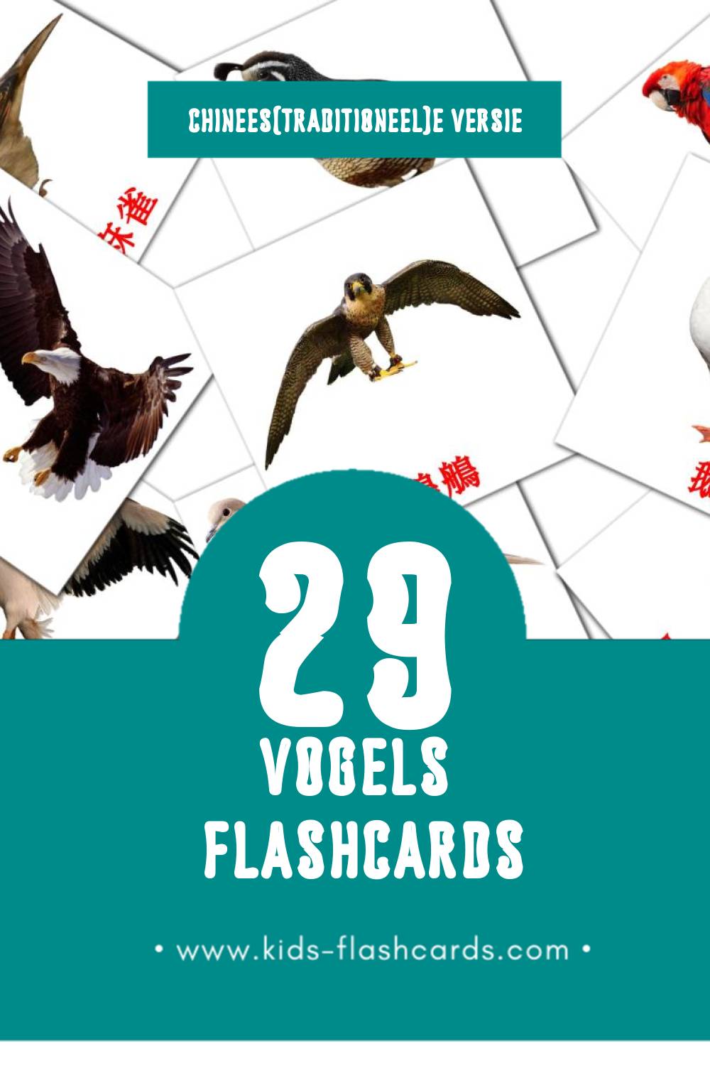 Visuele 鳥兒 Flashcards voor Kleuters (29 kaarten in het Chinees(traditioneel))