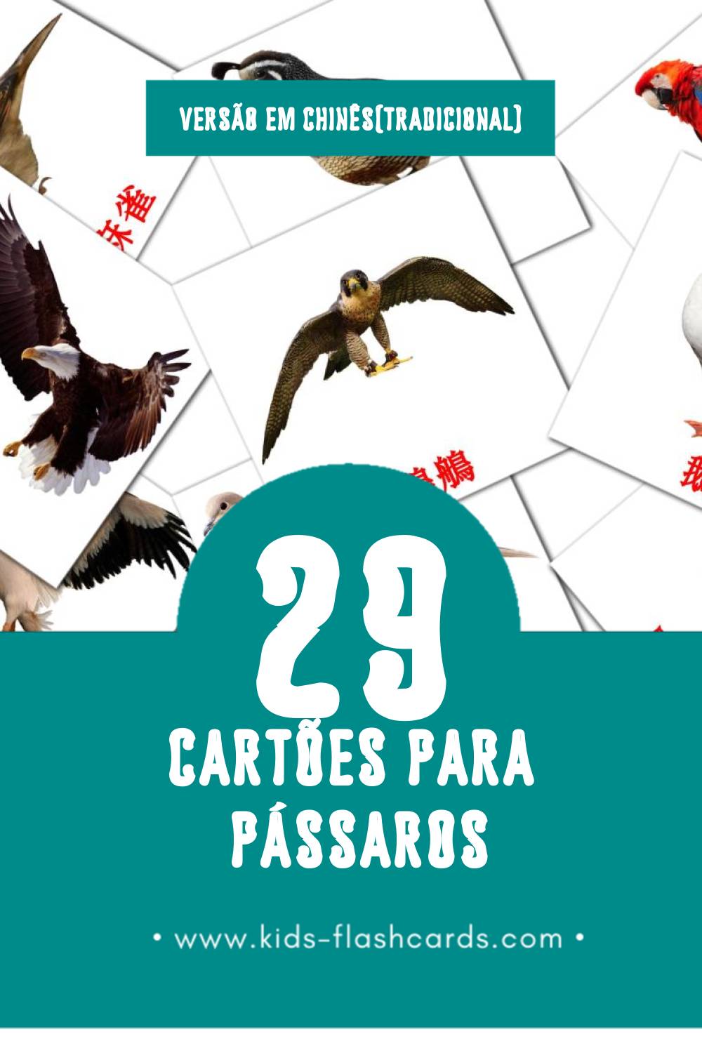 Flashcards de 鳥兒 Visuais para Toddlers (29 cartões em Chinês(tradicional))