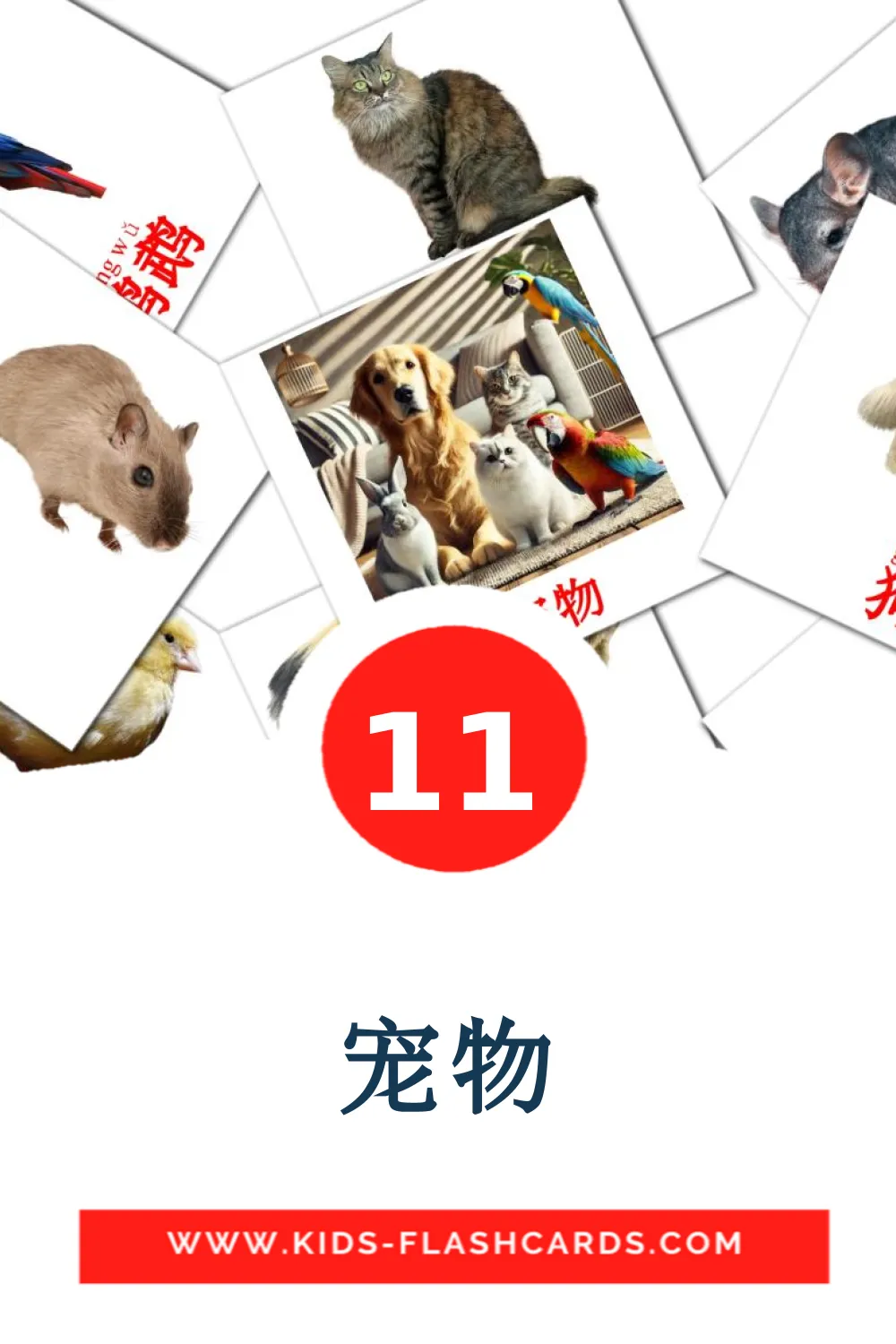 11 宠物 fotokaarten voor kleuters in het chinees(vereenvoudigd)