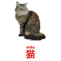 猫 card for translate