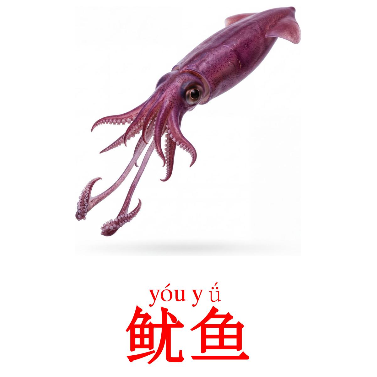 30 Printable Sea animals Flashcards in Chinese(Simplified) (Free PDF)