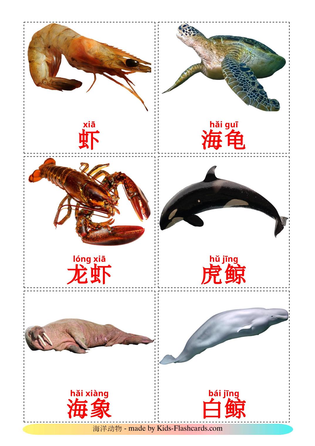 Морские животные - 29 Карточек Домана на китайский(Упрощенный)